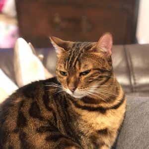 Meet your Posher, Amy